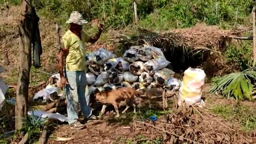 En Sigue La W, campesinos denuncian que les dan $25.000 por el bulto de ñame que cultivan por un año.. Foto: Pantallazo video