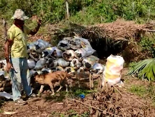 En Sigue La W, campesinos denuncian que les dan $25.000 por el bulto de ñame que cultivan por un año.. Foto: Pantallazo video