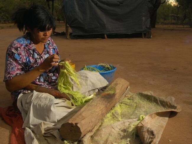 Se eleva a ocho la cifra de fallecidos por problemas de nutrición en la provincia argentina de Salta.. Foto: Getty Images