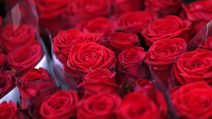 Así es ‘Cartas de amor’, la primera colección del diseñador Diego Guarnizo