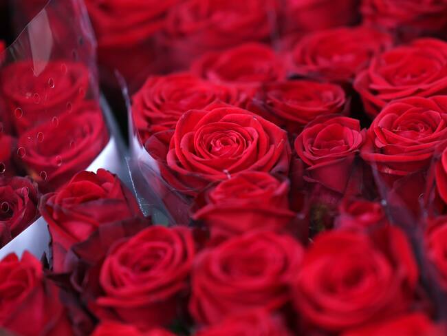 London (United Kingdom), 14/02/2024.- Roses for sale at a flower stall during Valentine's Day in London, Britain, 14 February 2024. Valentine's Day, a day dedicated to expressing love with romantic gestures is celebrated all over the world on 14 February. (Reino Unido, Londres) EFE/EPA/ANDY RAIN