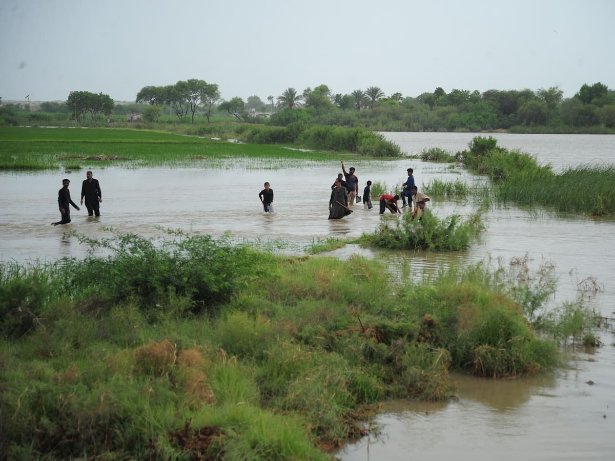 Al menos 19 muertos por nuevas lluvias del monzón en Pakistán en los últimos días