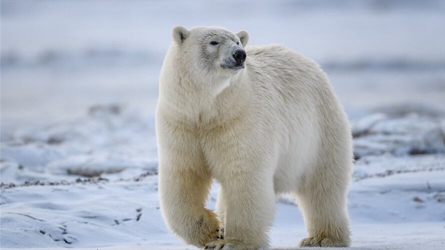 Imagen de referencia. Foto: Getty Images