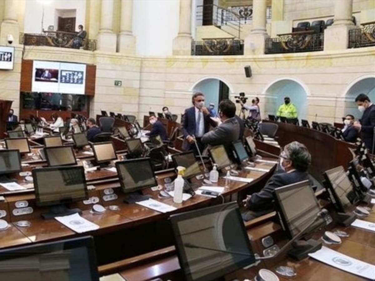 Críticas desde el Congreso al Gobierno por no permitir visita de la CIDH al país