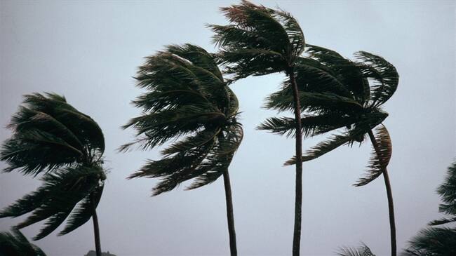 Necesitamos que haga presencia el Gobierno para toda la parte de la isla: Edwin Neira. Foto: Getty Images