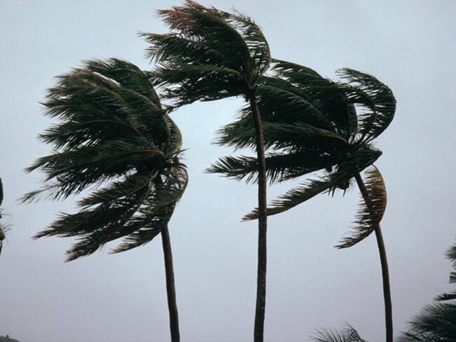 Necesitamos que haga presencia el Gobierno para toda la parte de la isla: Edwin Neira. Foto: Getty Images