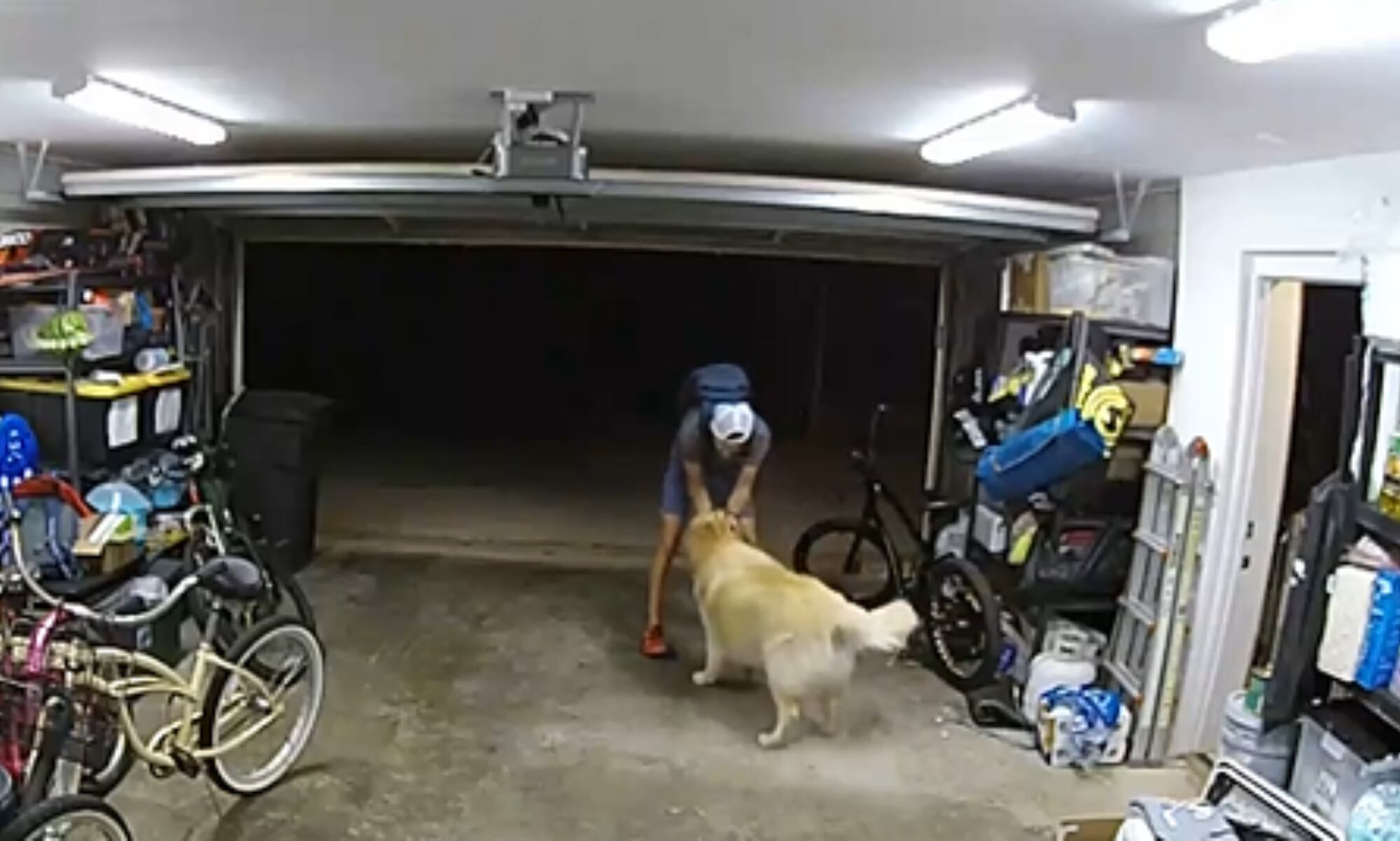 Captura de pantalla: Departamento de Policía de San Diego