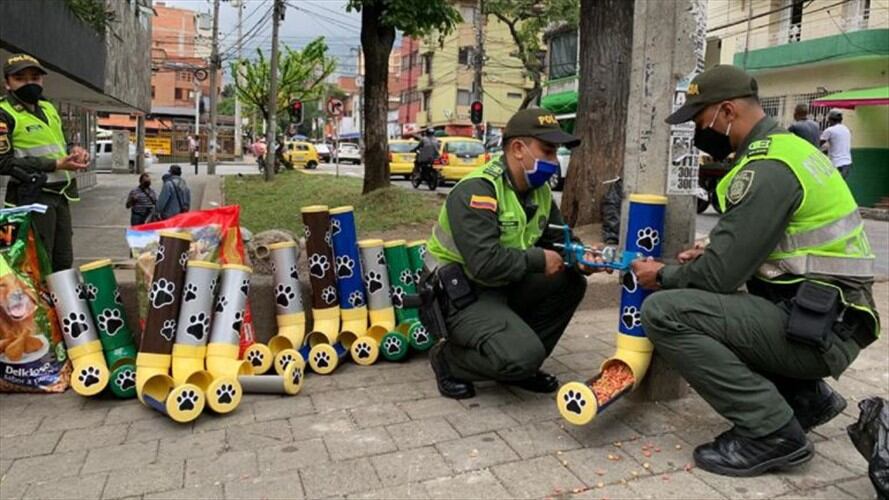Fueron recolectados más de 800 kilos de comida para estos animales. Foto: MeVal
