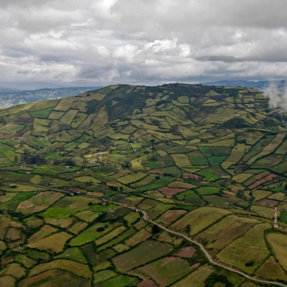 “Queremos legalizarles las tierras”: Luis Lara, heredero de tierras invadidas en Caquetá