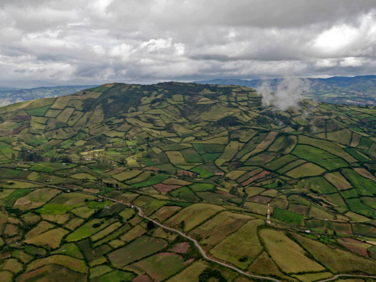 “Queremos legalizarles las tierras”: Luis Lara, heredero de tierras invadidas en Caquetá