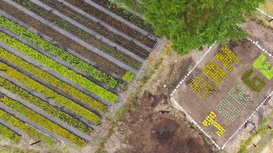 Más de 12 especies se producirán en el vivero. . Foto: Corpoboyacá