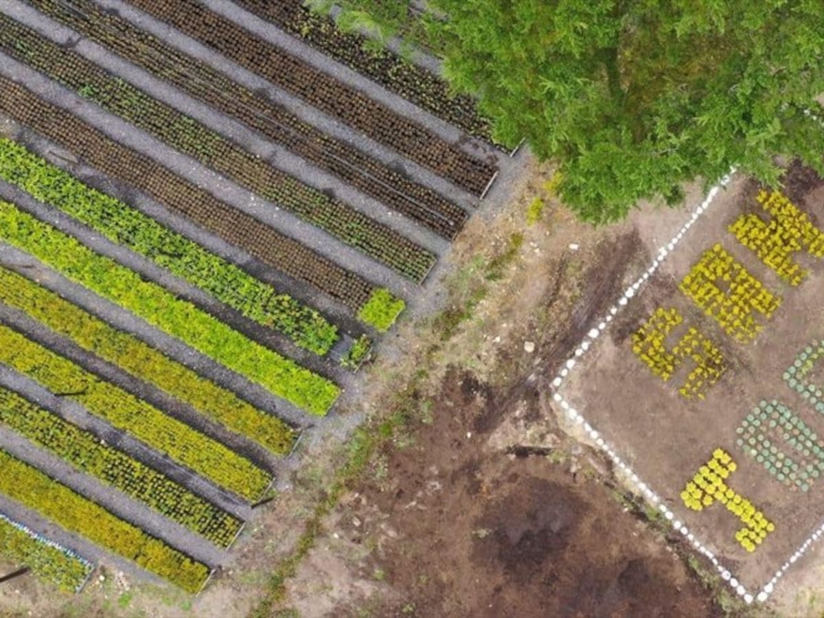 Inauguran vivero para la producción de 90 mil plantas en Duitama