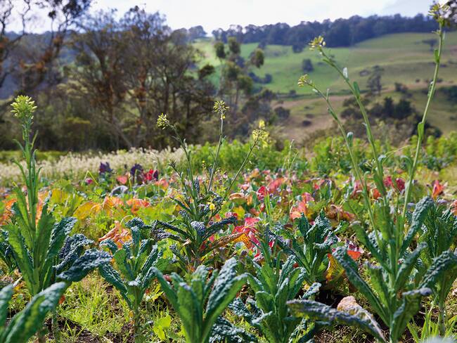 Cortesía: Bancolombia