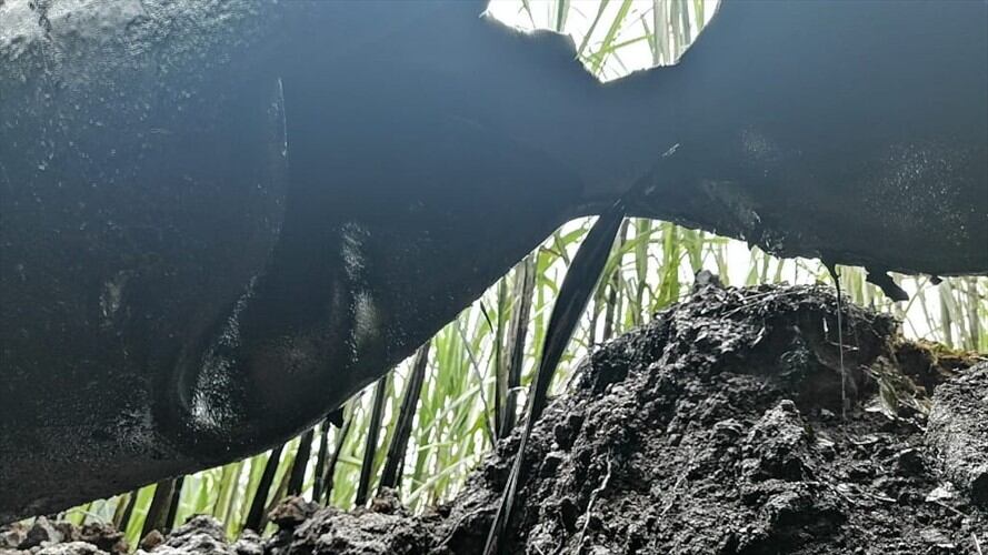 Atentado OTA Mallama - Nariño. Foto: La W