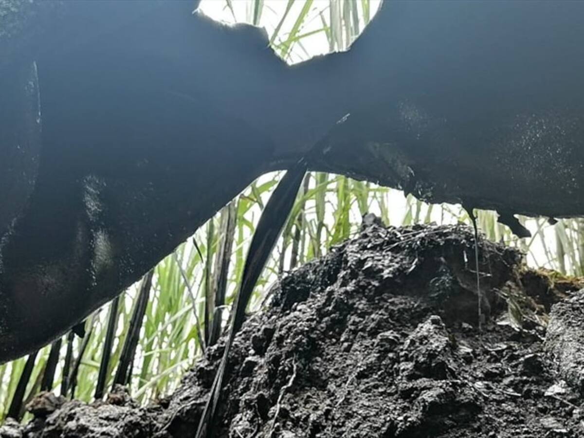 Atentado al Oleoducto Transandino en Nariño