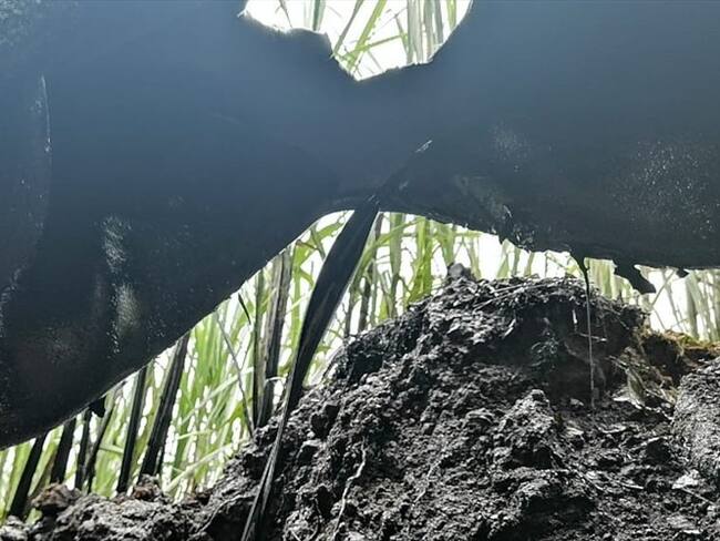 Atentado OTA Mallama - Nariño. Foto: La W