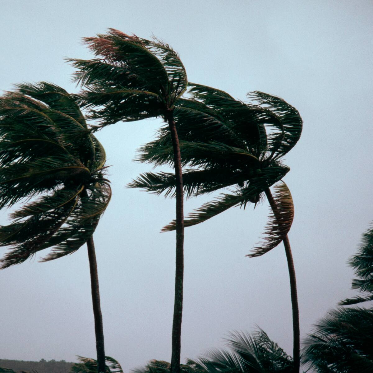 Ideam alertó sobre fuertes vientos que se registran en los departamentos del Caribe