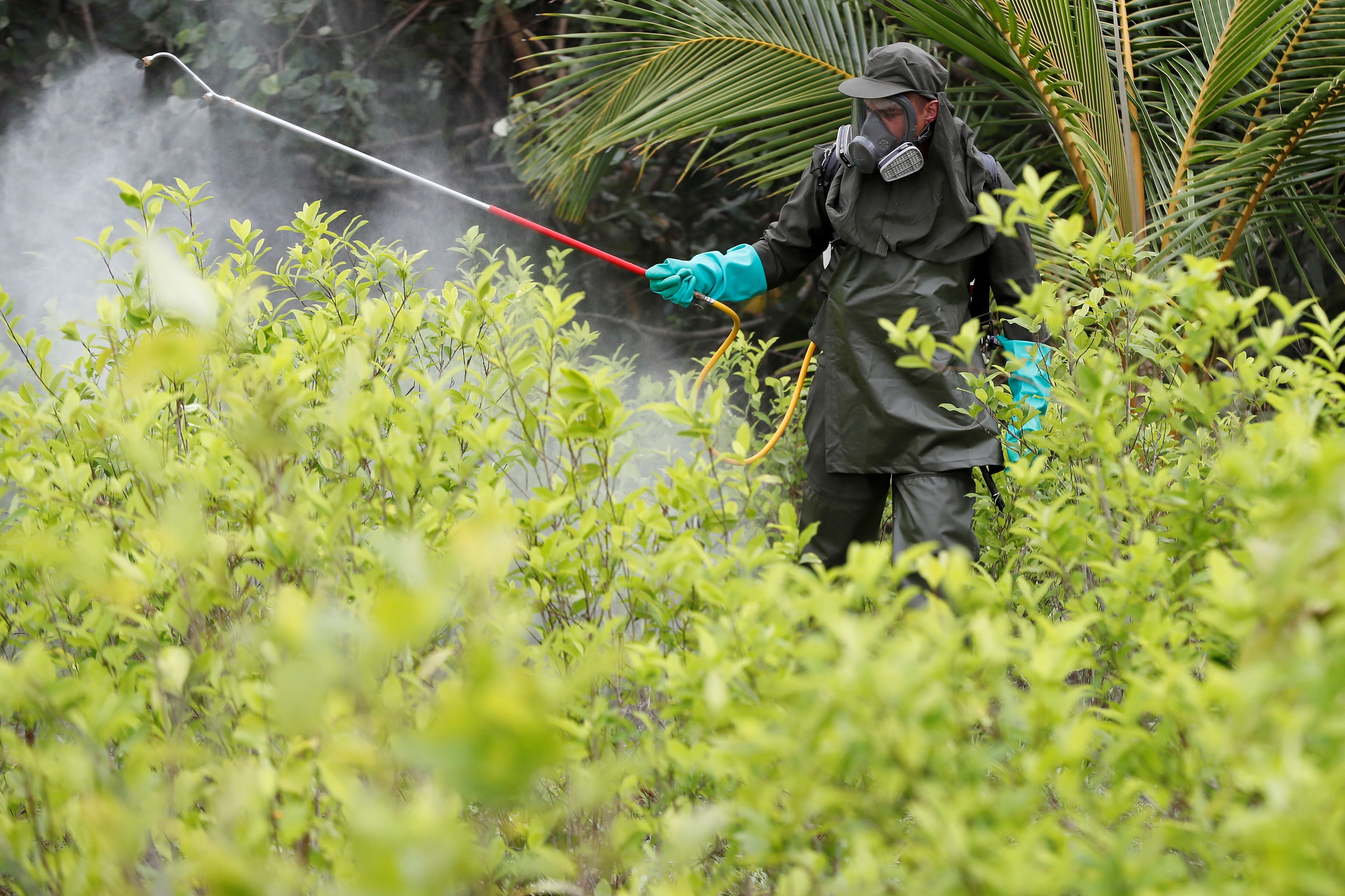 Imagen de referencia. Foto: EFE/Carlos Ortega/ARCHIVO.