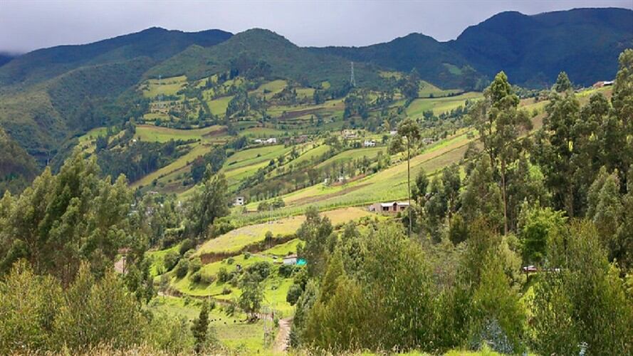 MinAgricultura dispuso millonaria cifra en créditos para  producción de alimentos. Foto: Colprensa