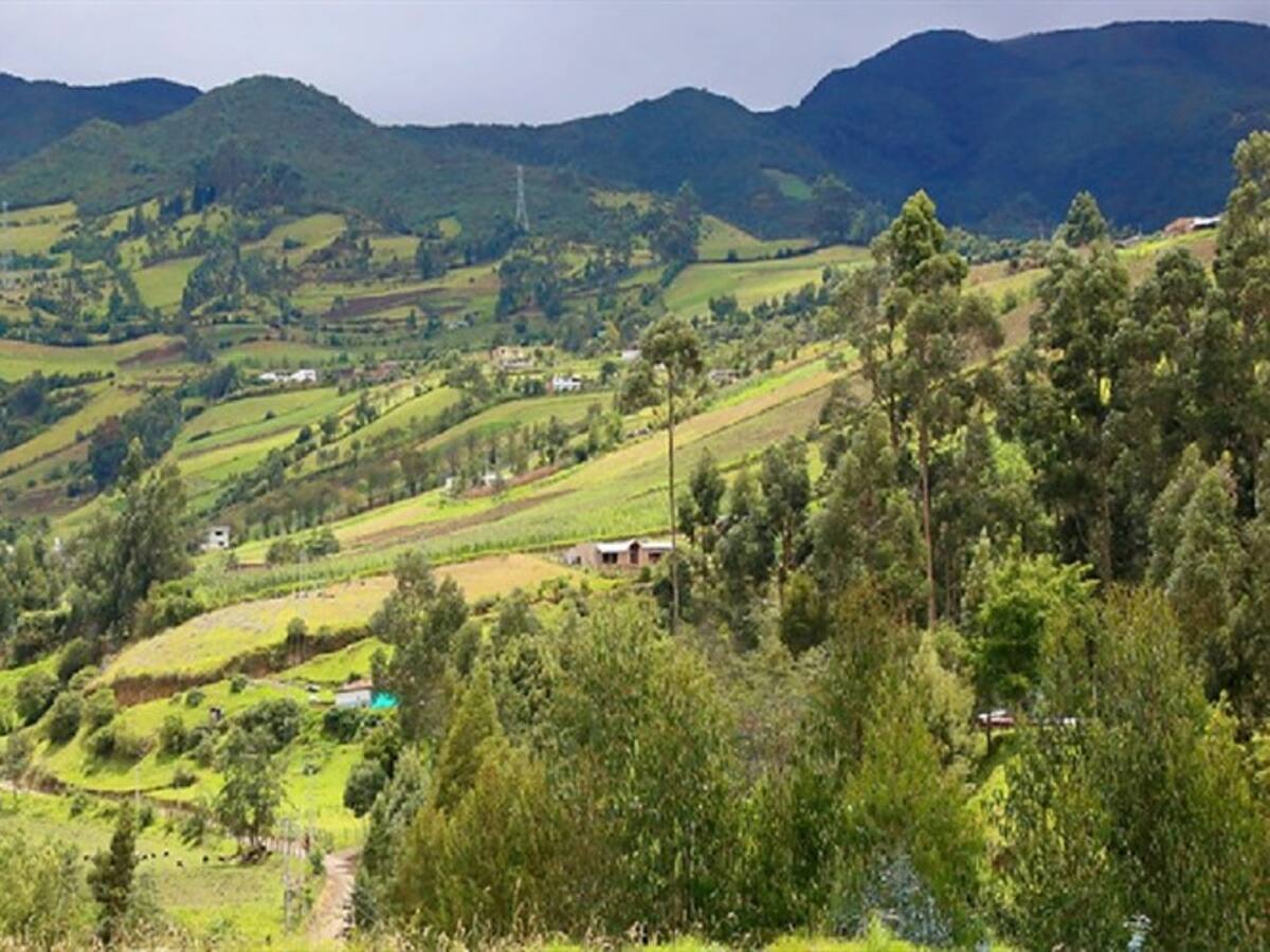 Minagricultura dispuso millonaria cifra en créditos para producción de alimentos