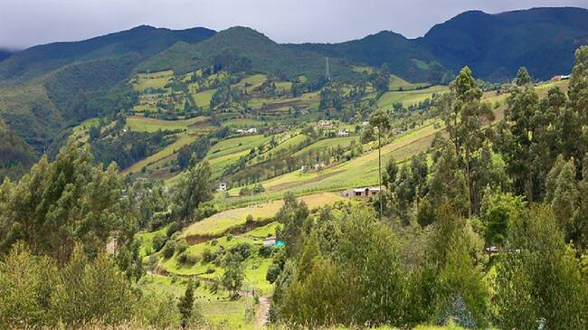 MinAgricultura dispuso millonaria cifra en créditos para producción de alimentos. Foto: Colprensa
