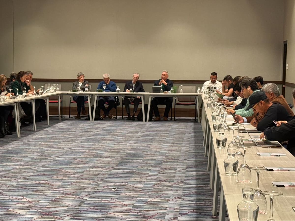 Alianza Verde se fractura por propuesta de respaldar candidatura presidencial de Iván Cepeda