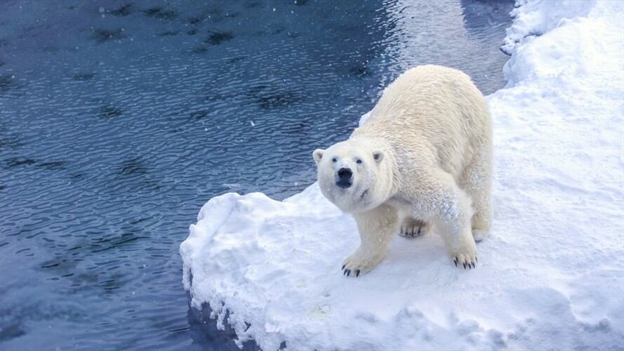 El sexto Informe de Evaluación sobre Cambio Climático ha sugerido que el planeta se encuentra en alerta máxima por los efectos del calentamiento global. Foto: Getty Images / CHUCHART DUANGDAW