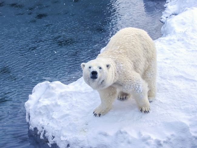 El sexto Informe de Evaluación sobre Cambio Climático ha sugerido que el planeta se encuentra en alerta máxima por los efectos del calentamiento global. Foto: Getty Images / CHUCHART DUANGDAW