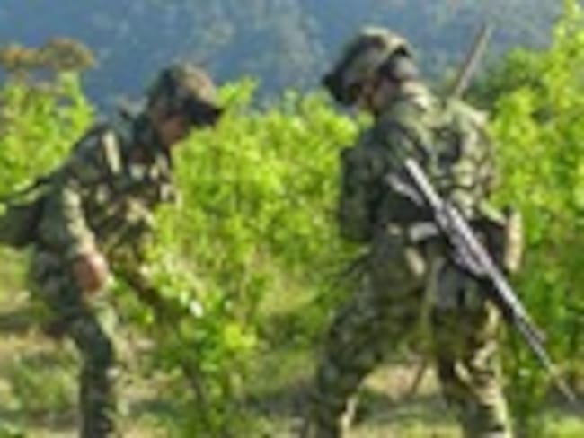 ¿Qué se debe hacer ante la presencia del cartel de Sinaloa en Colombia?