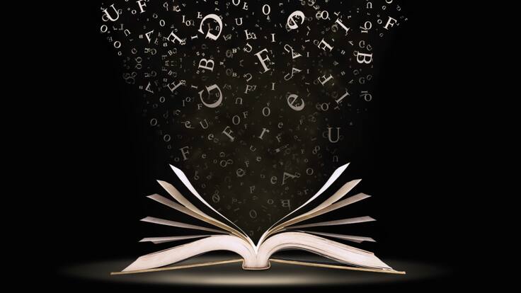 Tu sombra de pájaro: una novela que habla el amor fraternal en medio del caos