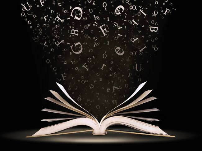 Tu sombra de pájaro: una novela que habla el amor fraternal en medio del caos