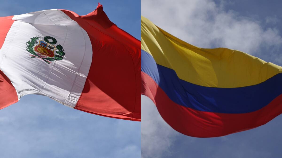 Petro viene violando e inmiscuyéndose en asuntos del Perú: embajador de Perú ante la OEA