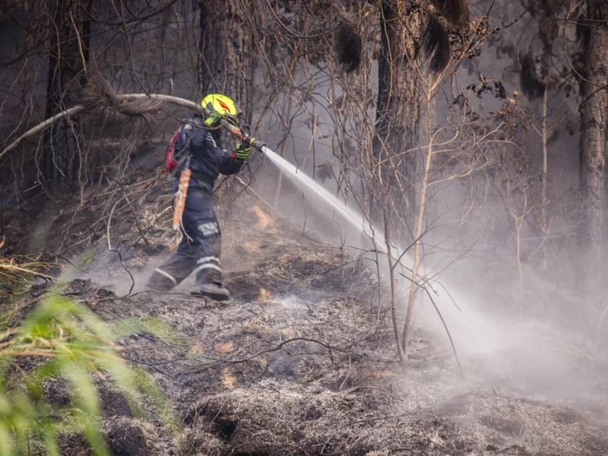 Organismos de socorro están en alerta por incendios forestales en Cúcuta
