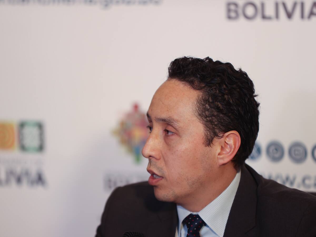 El Gobierno de Bolivia descartó por ahora deportaciones masivas de nacionales desde Estados Unidos