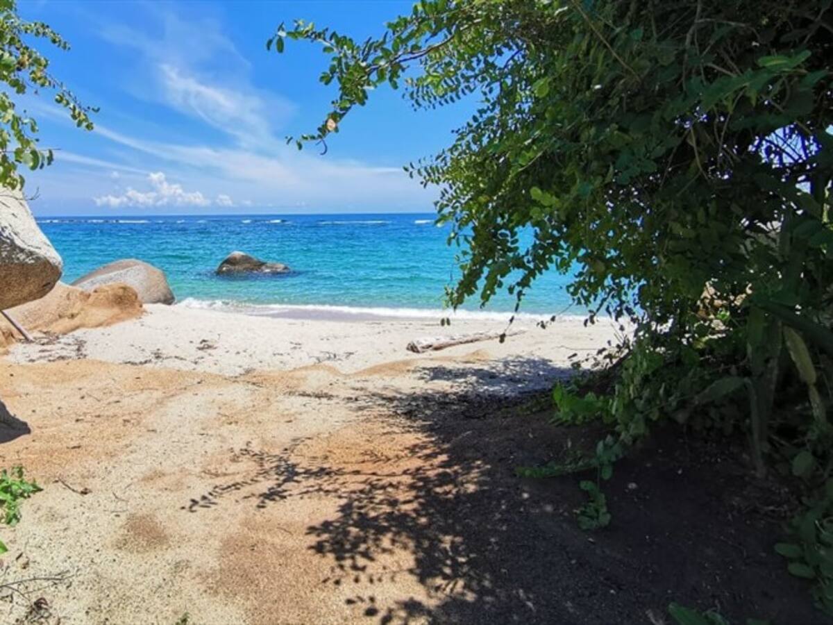 Desde este miércoles el Parque Tayrona reabre sus puertas