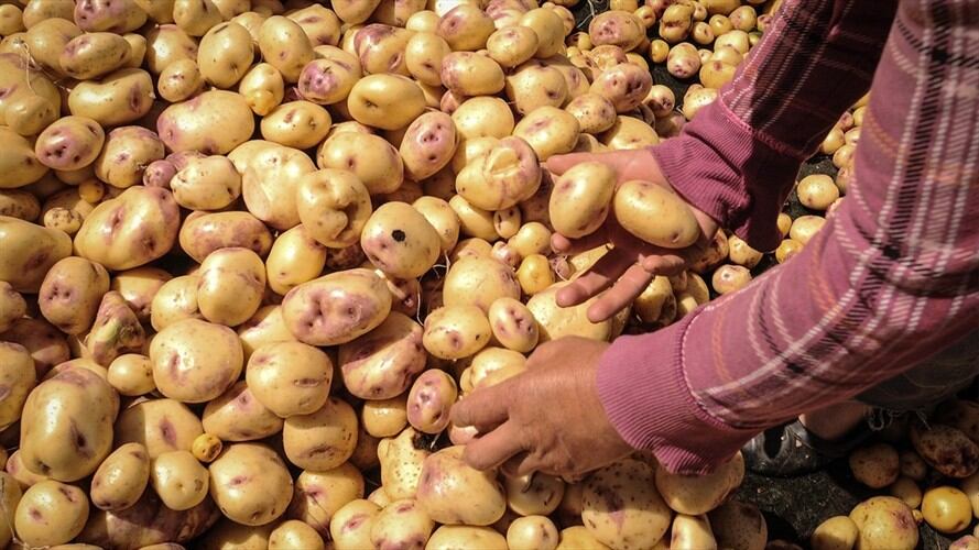 Imagen de referencia. Foto: Colprensa
