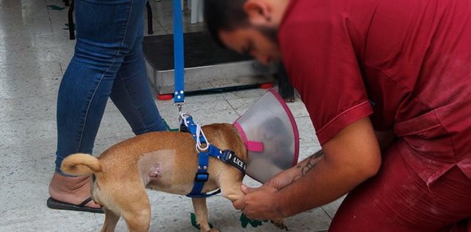 Varios concejales expresaron preocupaciones sobre la falta de personal calificado, escasez de insumos y el alto porcentaje de personal no médico que esta contratado.