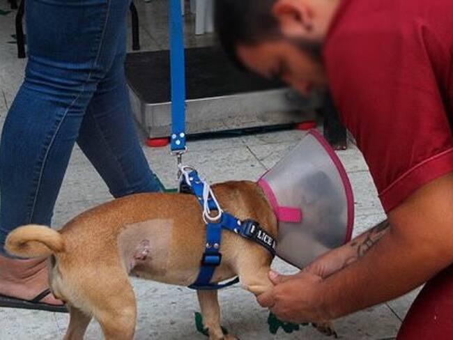 Varios concejales expresaron preocupaciones sobre la falta de personal calificado, escasez de insumos y el alto porcentaje de personal no médico que esta contratado.