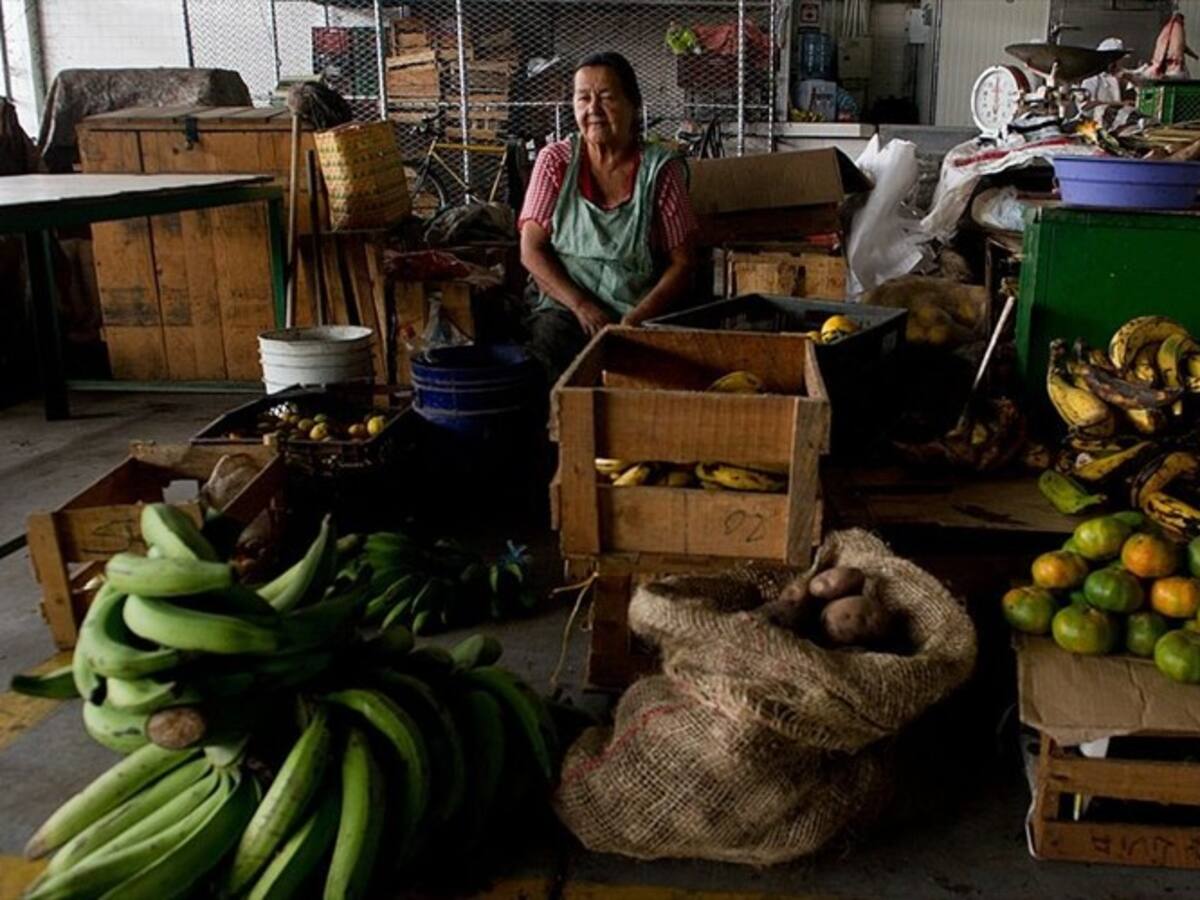 El Día Internacional de la Mujer Rural permite visibilizar las brechas sociales: Llombart