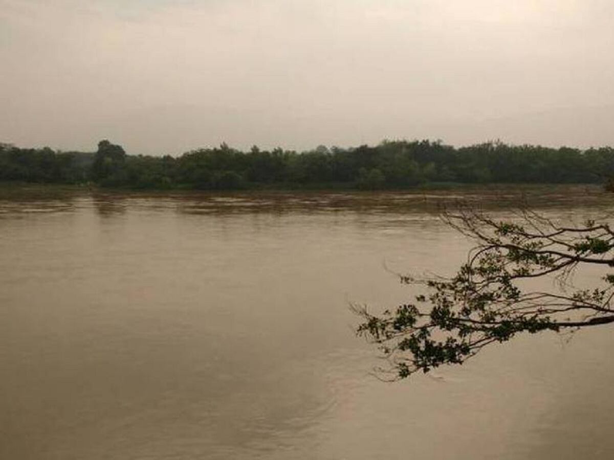 Crédito: Cortesía.