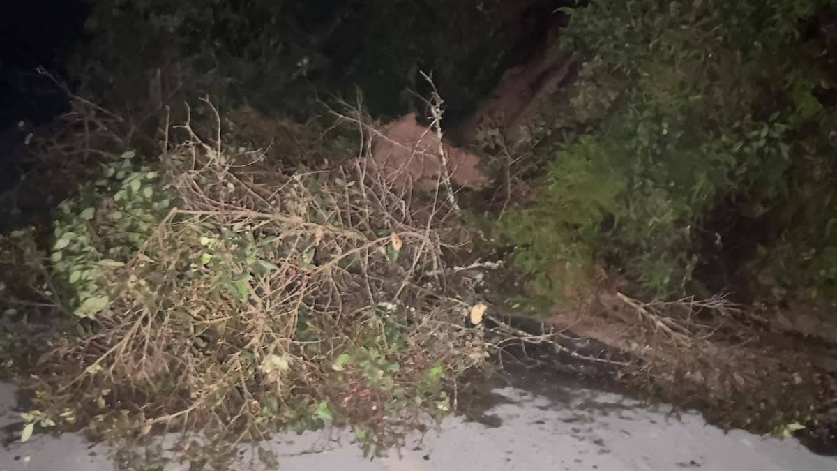 Nuevo deslizamiento complica la situación en la vía Pasto – Mojarras en Nariño
