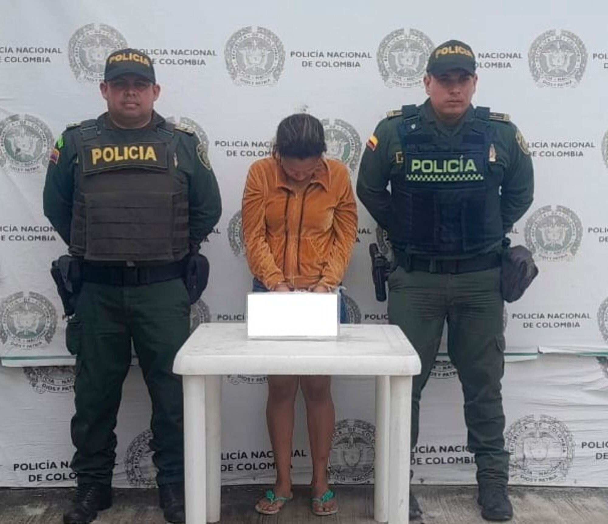 Capturada por el delito de violencia intrafamiliar/ Policía Metropolitana de Santa Marta