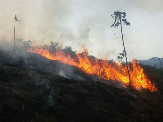 Incendio forestal. Foto: La W Radio/ Jairo Niño.