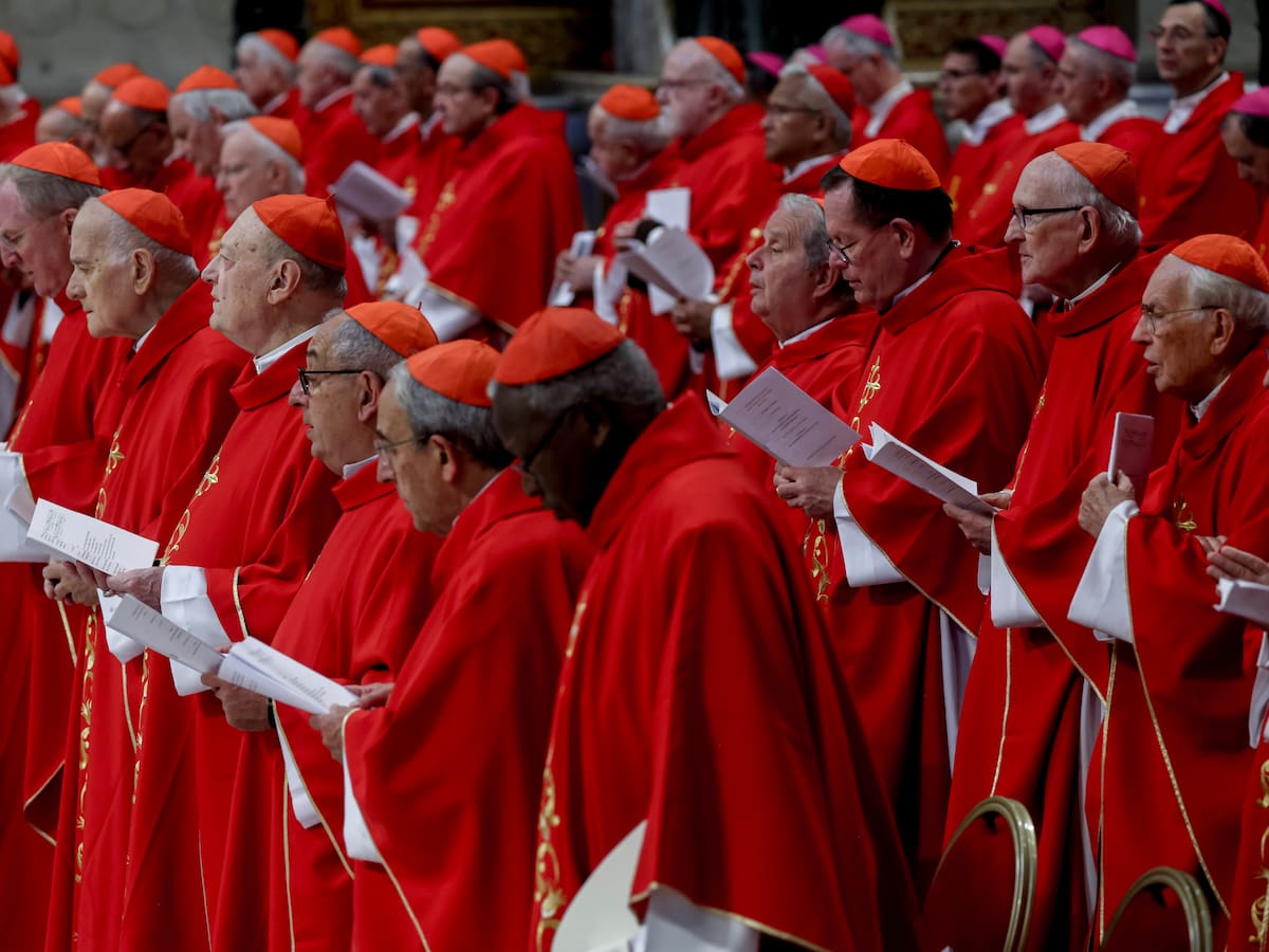 Se elegirá al sucesor de san Pedro, no de Francisco, evitemos pensar así: padre Christian Sáenz