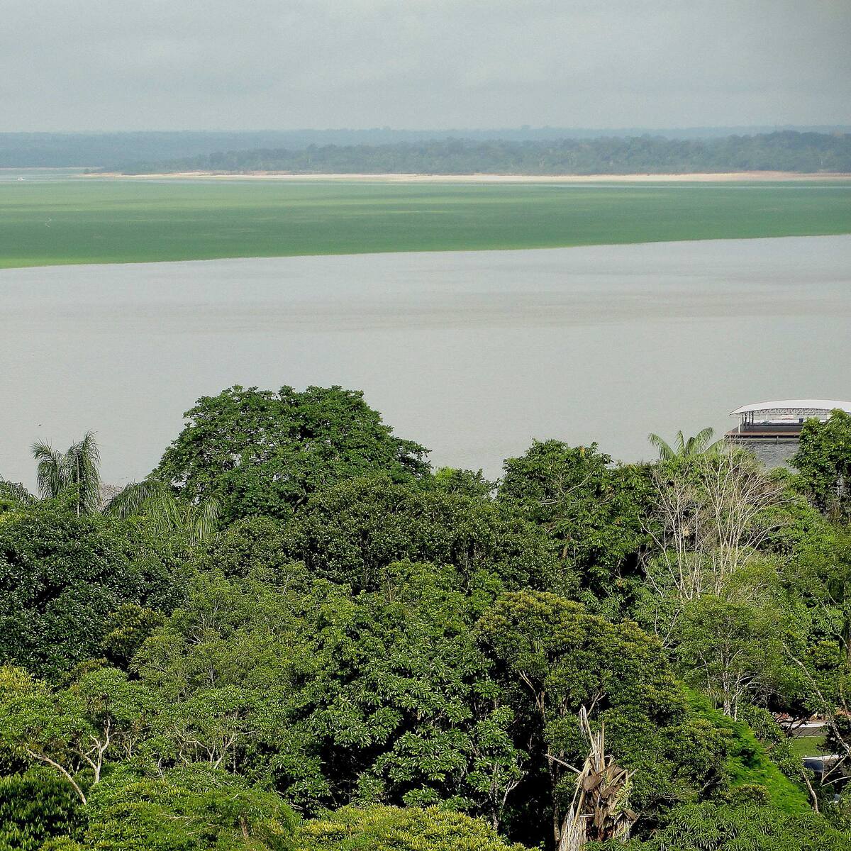 Adelantan proceso disciplinario por elefante blanco de $30.000 millones en Amazonas