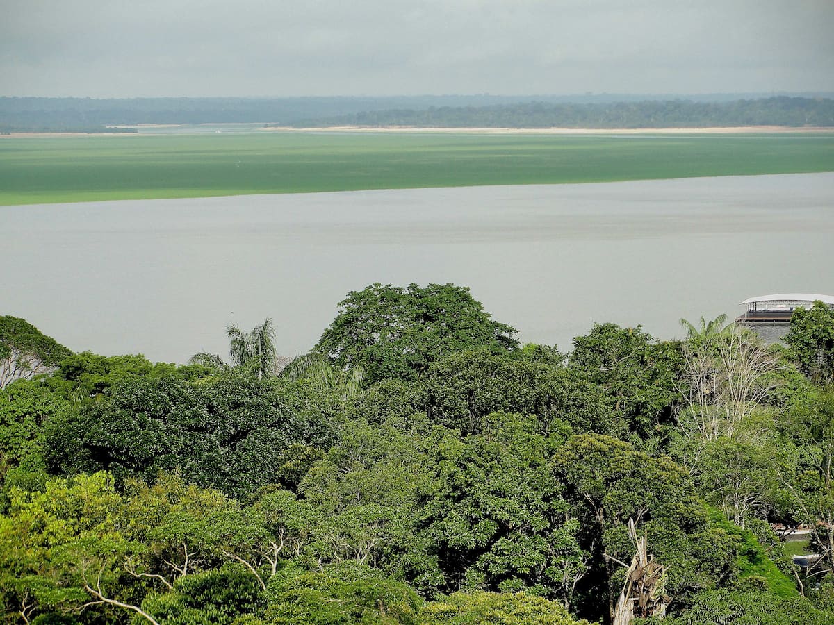 Adelantan proceso disciplinario por elefante blanco de $30.000 millones en Amazonas