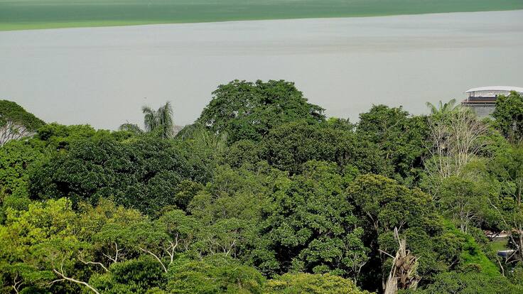 Adelantan proceso disciplinario por elefante blanco de $30.000 millones en Amazonas