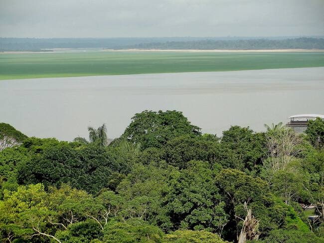 Adelantan proceso disciplinario por elefante blanco de $30.000 millones en Amazonas