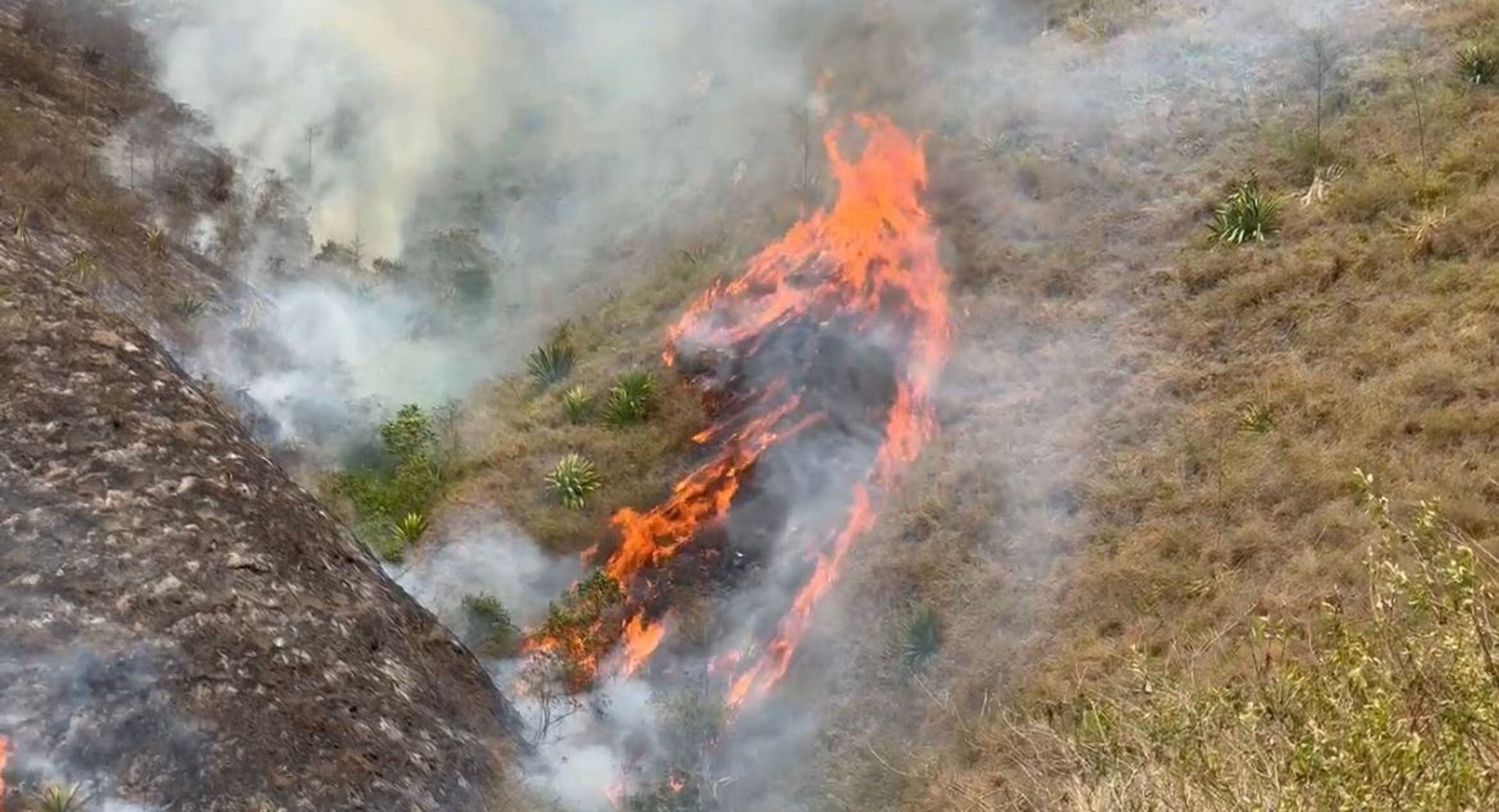 Hasta el momento, los organismos de emergencia lograron proteger las viviendas de la zona que estaban amenazadas por las llamas. Foto: Cortesía. 
