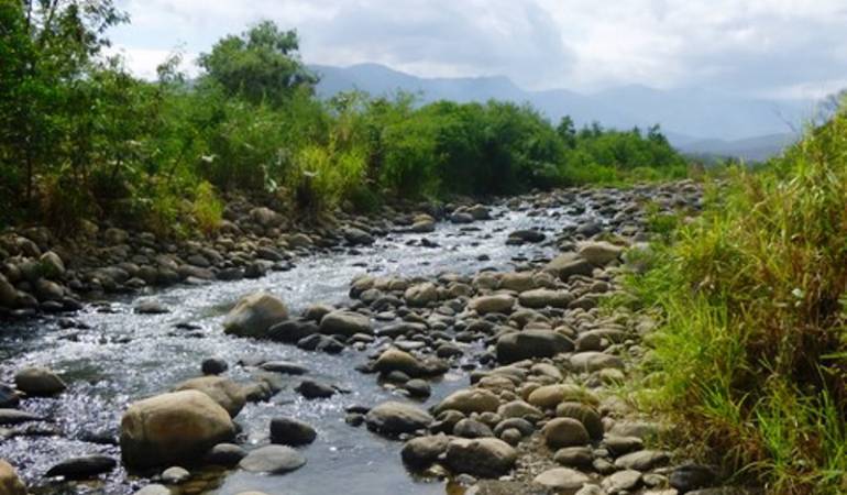 El descenso del caudal de los ríos Pamplonita, y Zulia es hoy la mayor preocupación